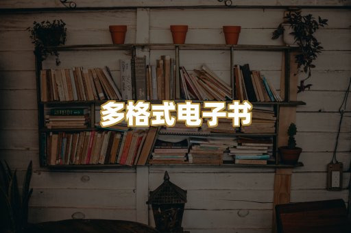 多格式电子书